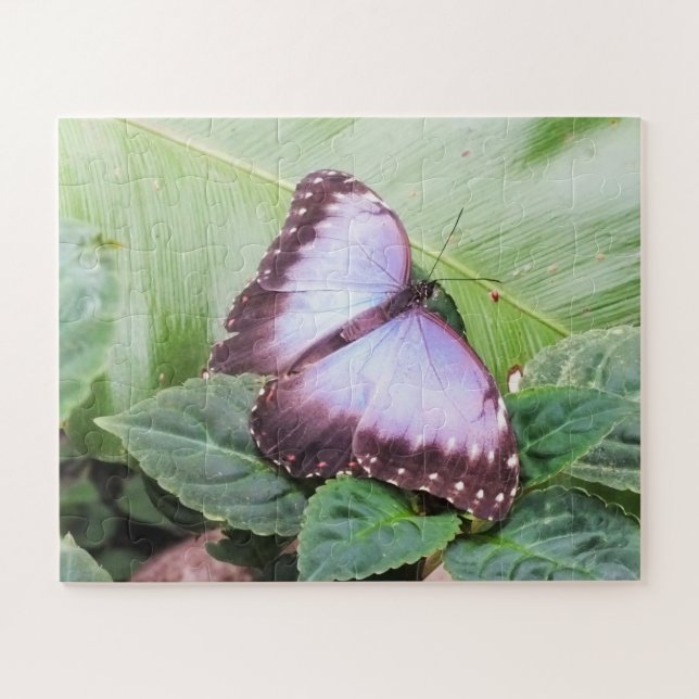 Puzzle Papillon morpho bleu (Horizontal)