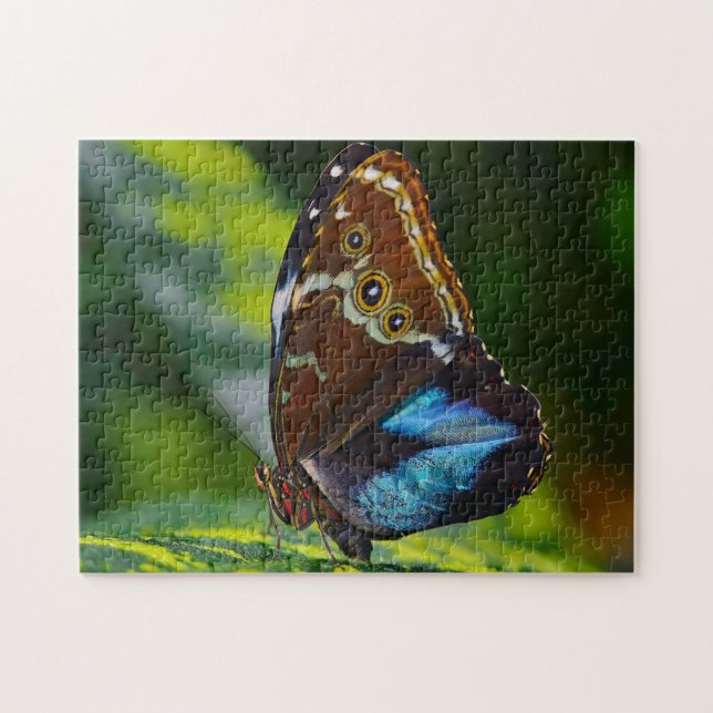 Puzzle Papillon Morpho Peleides. (Horizontal)