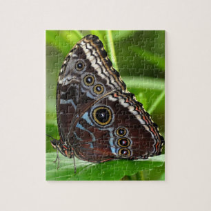 Puzzle Papillon noir assis sur des Feuilles de la nature