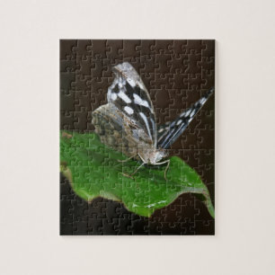 Puzzle Papillon noir et blanc