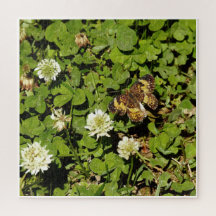 Papillon parmi les fleurs