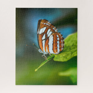 Puzzle Papillon rayé blanc et orange