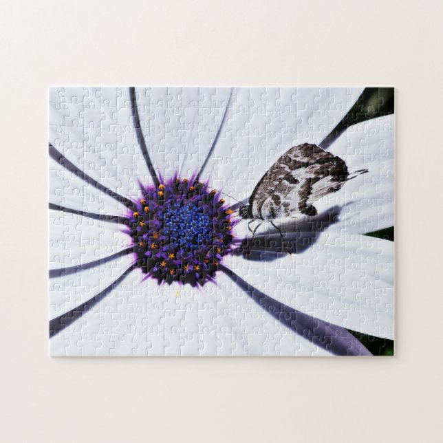 Puzzle Papillon sur la marguerite blanche | Difficile (Horizontal)