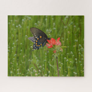 Puzzle Papillon Swallowtail sur la fleur indienne Paintbr