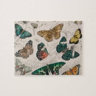 Puzzle Papillons Collection Antique Papillons