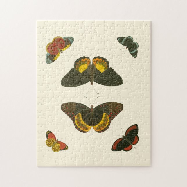 Puzzle Papillons lumineux par Pieter Cramer (Vertical)