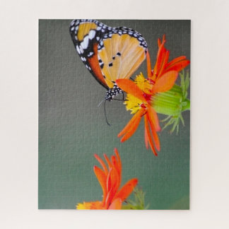 Puzzle Papillons - Monarque papillon