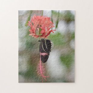 Puzzle Papillons papillons Nature Photographie Jardin