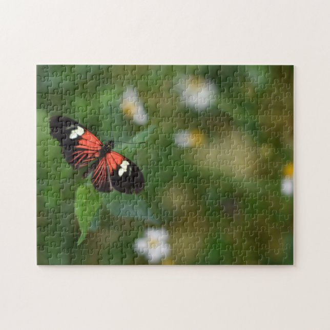 Puzzle Papillons papillons Nature Photographie Jardin (Horizontal)