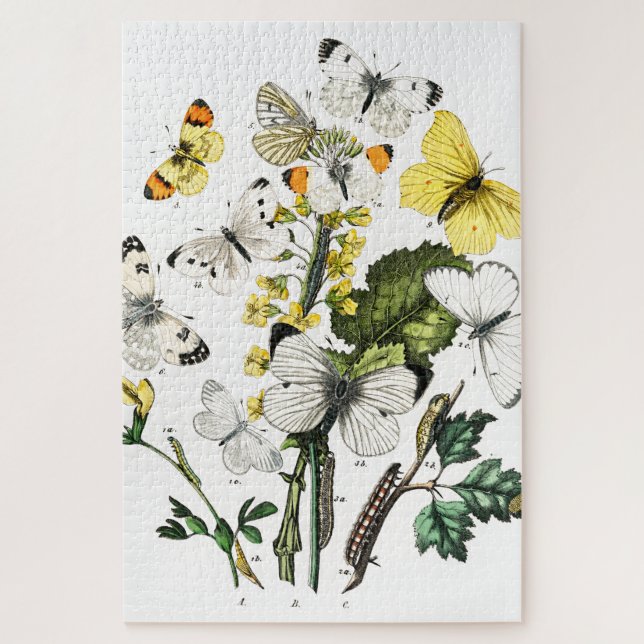 Puzzle Papillons vintages (Vertical)