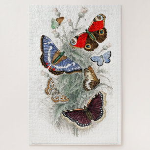 Puzzle Papillons vintages