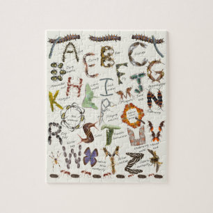 Puzzle par alphabet de bogues \ Insecter ABC