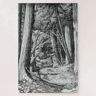 Puzzle Parc de séquoia