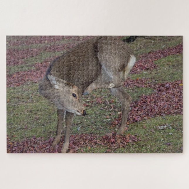 Puzzle parc nara 2024 (Horizontal)