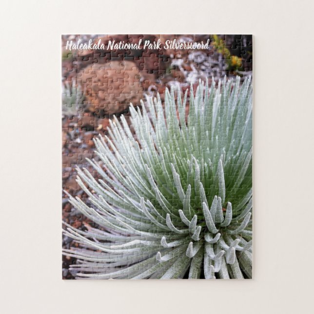 Puzzle Parc national de Haleakala Silversword (Vertical)