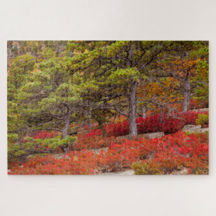 Puzzle Parc national de l'Acadie, Maine