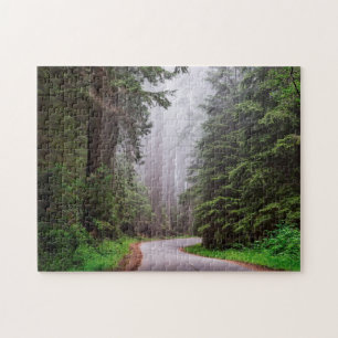 Puzzle Parc national de Redwood Californie Photo