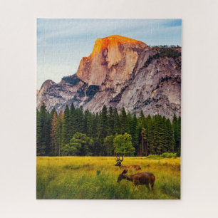 Puzzle Parc national de Yosemite California Mountain Wild