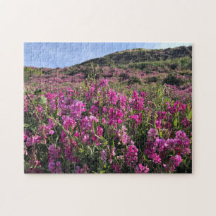 Puzzle Parc Rock State de Sisters