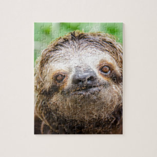 Puzzle Paresse douce