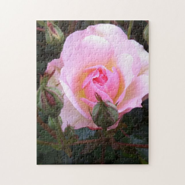 Puzzle Parfait Rose anglais (Vertical)