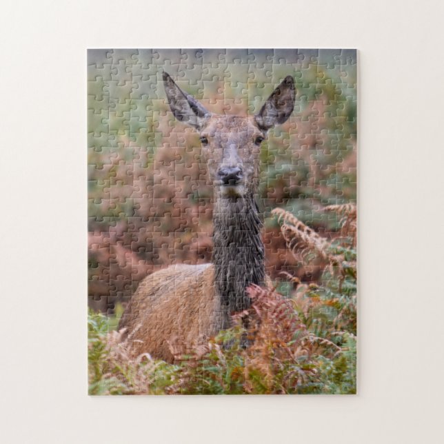 Puzzle Parles-Tu Avec Moi ? - 11x14 - 252 pièces (Vertical)