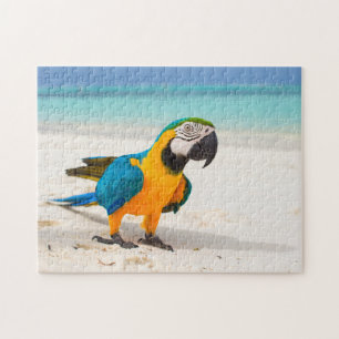 Puzzle Parrot de plage