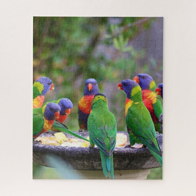 Puzzle Parrots colorés Arc-en-ciel Lorikeet Manger (Vertical)