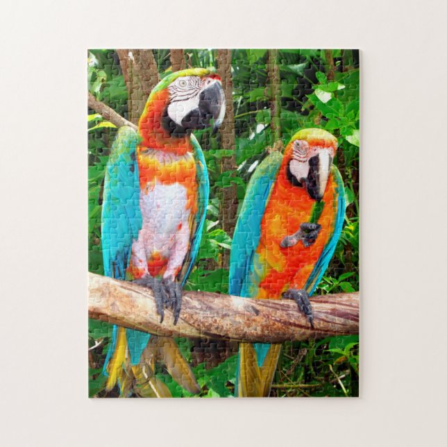 Puzzle Parrots Floride. (Vertical)
