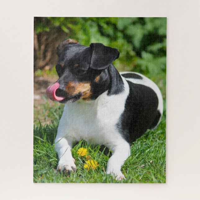 Puzzle Parson Russell terrier. (Vertical)