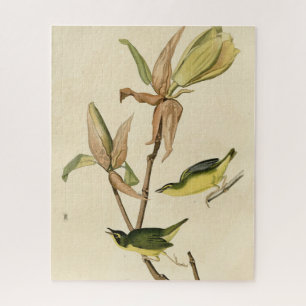 Puzzle Paruline du Kentucky des oiseaux d'Amérique d'Audu