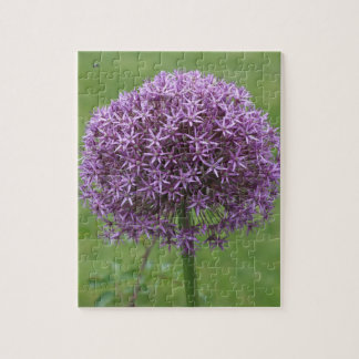 Puzzle Passion Pourpre