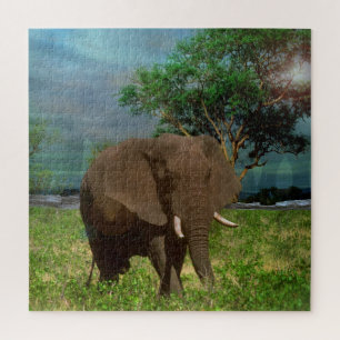 Puzzle Pâturage des éléphants de taureau,