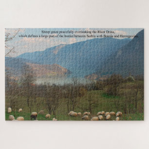 Puzzle Pâturage des moutons à la frontière de Bosnie G