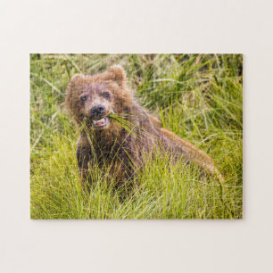 Puzzle Pâturage des petits grizzlis, Alaska