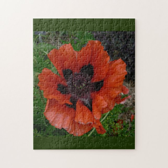 Puzzle Pavot d'Orient     (Vertical)