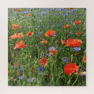 Puzzle pavot, fleur, champ, nature, printemps, arrière -