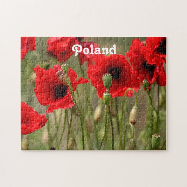 Puzzle Pavots rouges en Pologne (Horizontal)