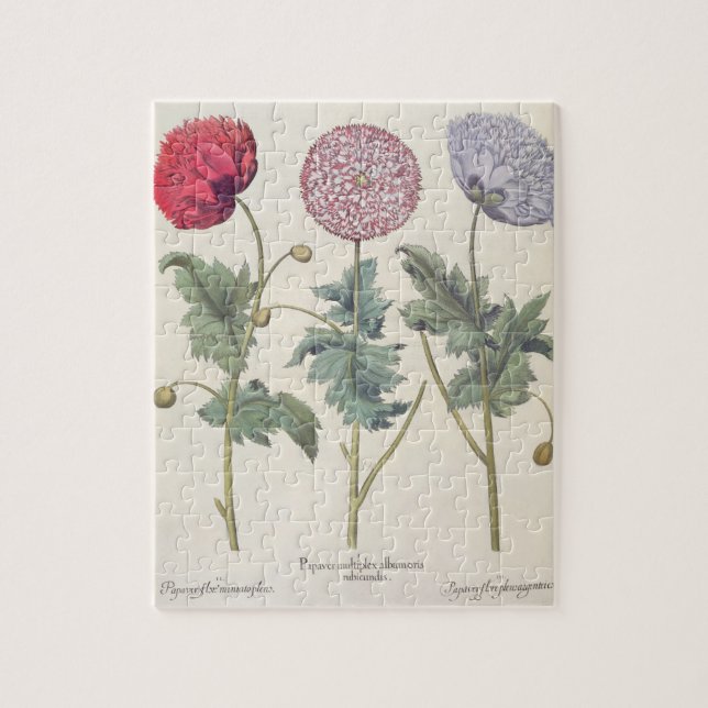 Puzzle Pavots : rubicundis multiplex des albumoris (Vertical)