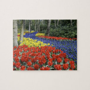 Puzzle Pays-Bas, Hollande, Lisse, Jardins de Keukenhof
