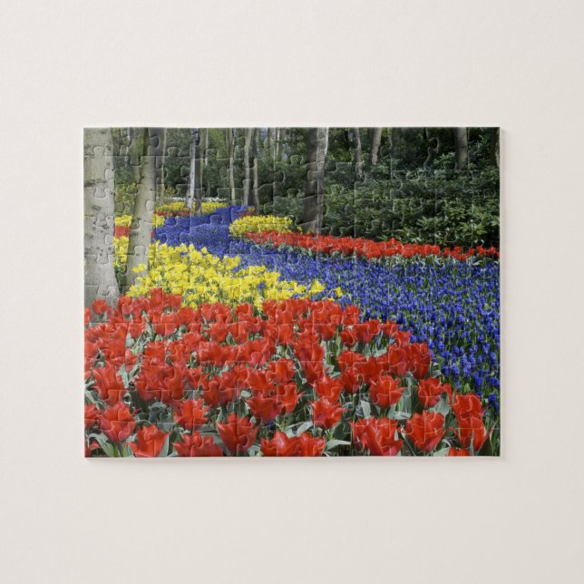 Puzzle Pays-Bas, Hollande, Lisse, Keukenhof Gardens (Horizontal)