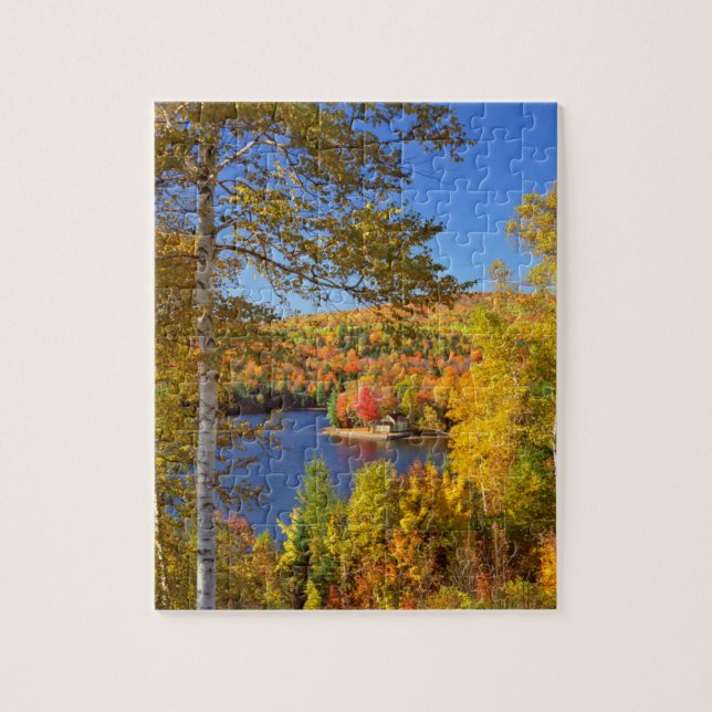 Puzzle Paysage arboré d'automne, Maine (Vertical)
