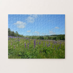 Puzzle Paysage avec des lupins  -
