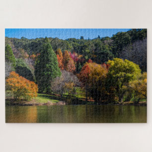 Puzzle Paysage coloré de l'arbre d'automne, 1012 pièces