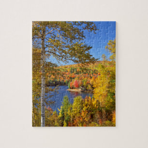 Puzzle Paysage d'arbres en automne, Maine