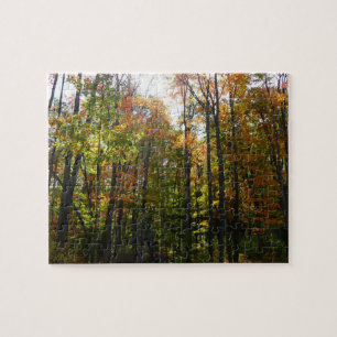 Puzzle Paysage d'automne de forêt ensoleillée