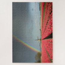 Paysage de la Hollande avec l'arc-en-ciel,