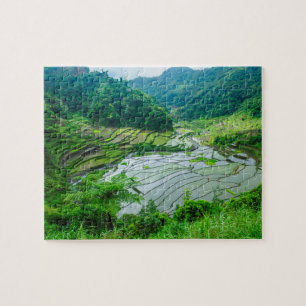 Puzzle Paysage de rizières, Philippines
