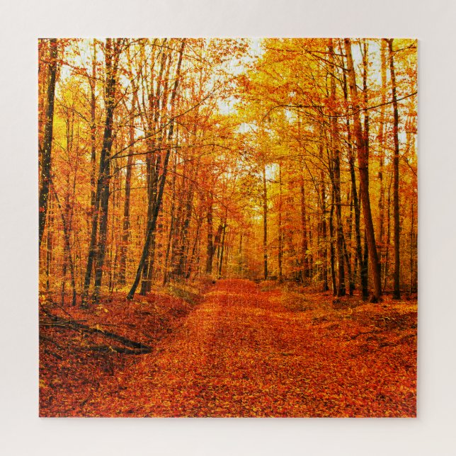 Puzzle Paysage pittoresque du Chemin d'Automne (Vertical)