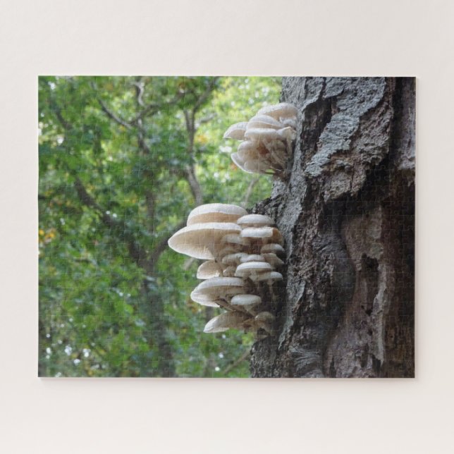 Puzzle paysager : Beaux champignons en porcelaine (Horizontal)